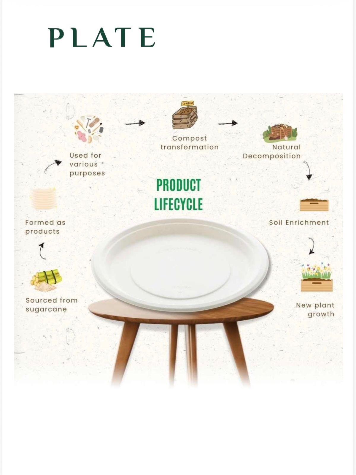 Sugarcane to Bagasse Eco-Friendly Product Process